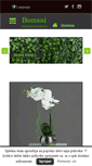 Mobile Screenshot of bonsai-si.com